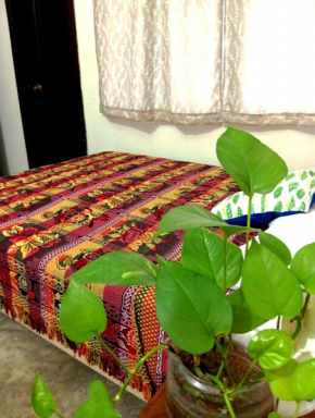Hospedaje Olmeca